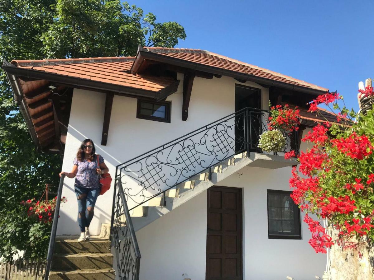 瓦列沃Etno Selo Lelic住宿加早餐旅馆 外观 照片